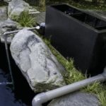 Koi Pond