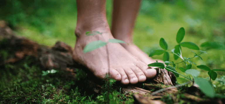 Feeling Frazzled? How&hellip;