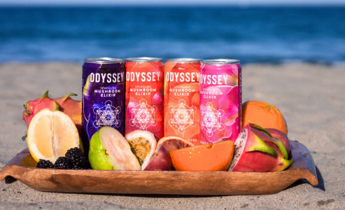 Mushroom Drink for Energy With Smooth Lasting Focus