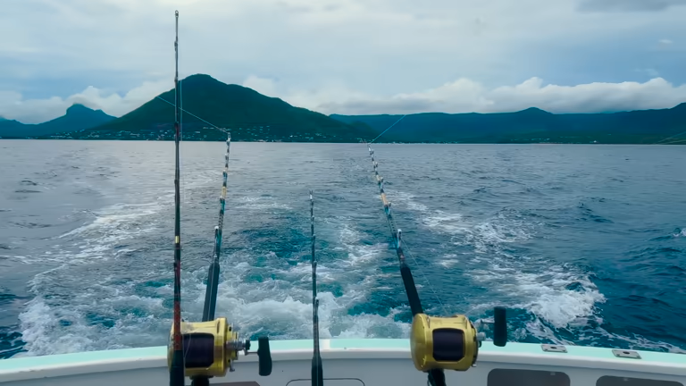 Discovering the Depths of Sport Fishing in Los Sueños