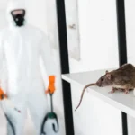 Commercial Pest Control: Smarter Protection for Modern Businesses