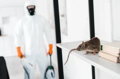 Commercial Pest Control: Smarter Protection for Modern Businesses