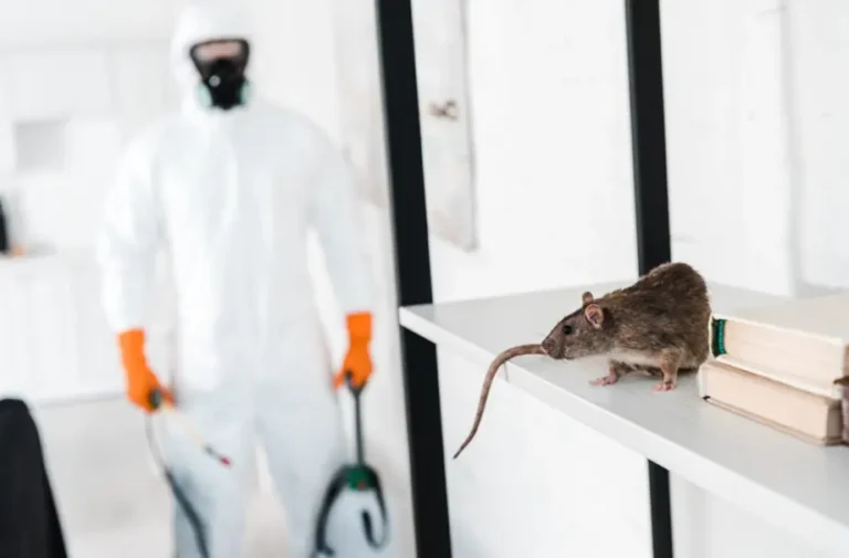 Commercial Pest Control: Smarter Protection for Modern Businesses