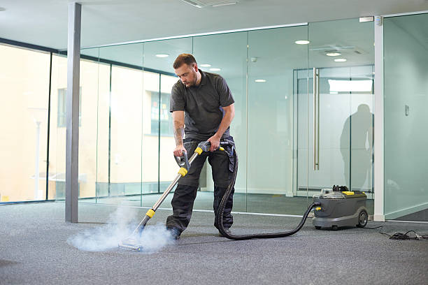 Why Investing in a Professional Carpet Cleaning Service Is Essential for a Healthier Home