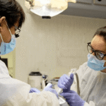 Dental Care