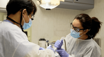 Dental Care