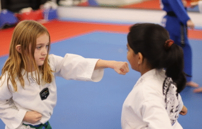 Taekwondo
