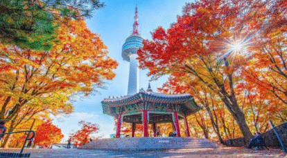 Seoul's Hidden Gems